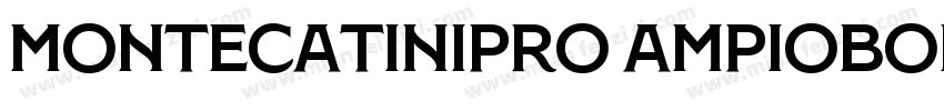 MontecatiniPro AmpioBold字体转换